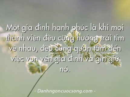 Một gia đình hạnh phúc là khi mọi thành viên đều cùng hướng trái tim về nhau, đều cùng quan tâm đến việc vun vén gia đình và gìn giữ nó.