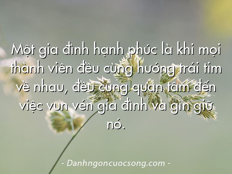 Một gia đình hạnh phúc là khi mọi thành viên đều cùng hướng trái tim về nhau, đều cùng quan tâm đến việc vun vén gia đình và gìn giữ nó.