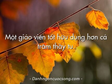 Một giáo viên tốt hữu dụng hơn cả trăm thầy tu.