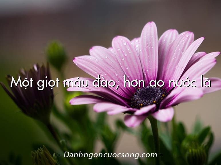 Một giọt máu đào, hơn ao nước lã