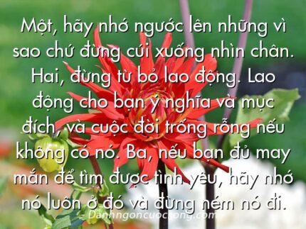 Một, hãy nhớ ngước lên những vì sao chứ đừng cúi xuống nhìn chân. Hai, đừng từ bỏ lao động. Lao động cho bạn ý nghĩa và mục đích, và cuộc đời trống rỗng nếu không có nó. Ba, nếu bạn đủ may mắn để tìm được tình yêu, hãy nhớ nó luôn ở đó và đừng ném nó đi.