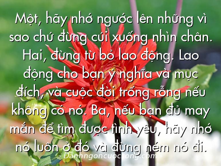 Một, hãy nhớ ngước lên những vì sao chứ đừng cúi xuống nhìn chân. Hai, đừng từ bỏ lao động. Lao động cho bạn ý nghĩa và mục đích, và cuộc đời trống rỗng nếu không có nó. Ba, nếu bạn đủ may mắn để tìm được tình yêu, hãy nhớ nó luôn ở đó và đừng ném nó đi.
