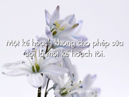 Một kế hoạch không cho phép sửa đổi là một kế hoạch tồi.