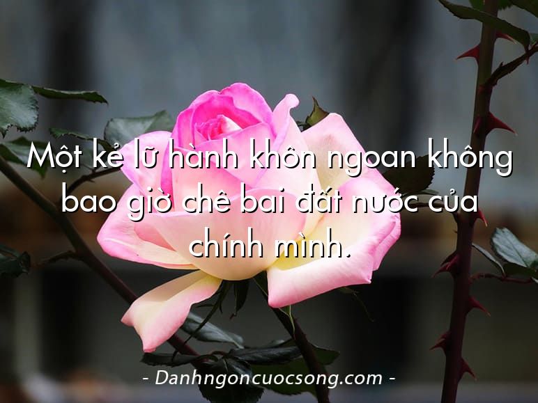 Một kẻ lữ hành khôn ngoan không bao giờ chê bai đất nước của chính mình.