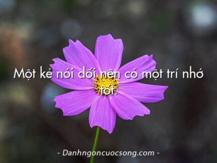 Một kẻ nói dối nên có một trí nhớ tốt.