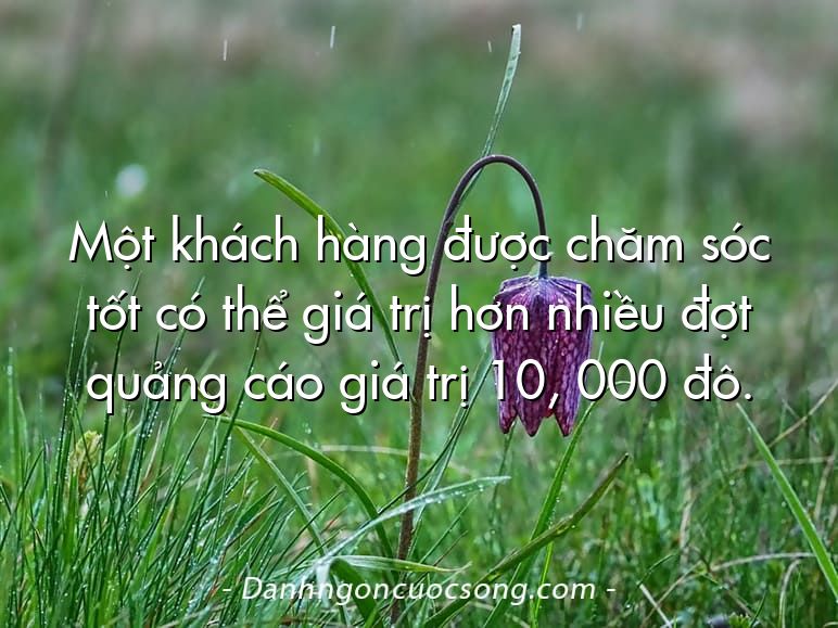 Một khách hàng được chăm sóc tốt có thể giá trị hơn nhiều đợt quảng cáo giá trị 10, 000 đô.