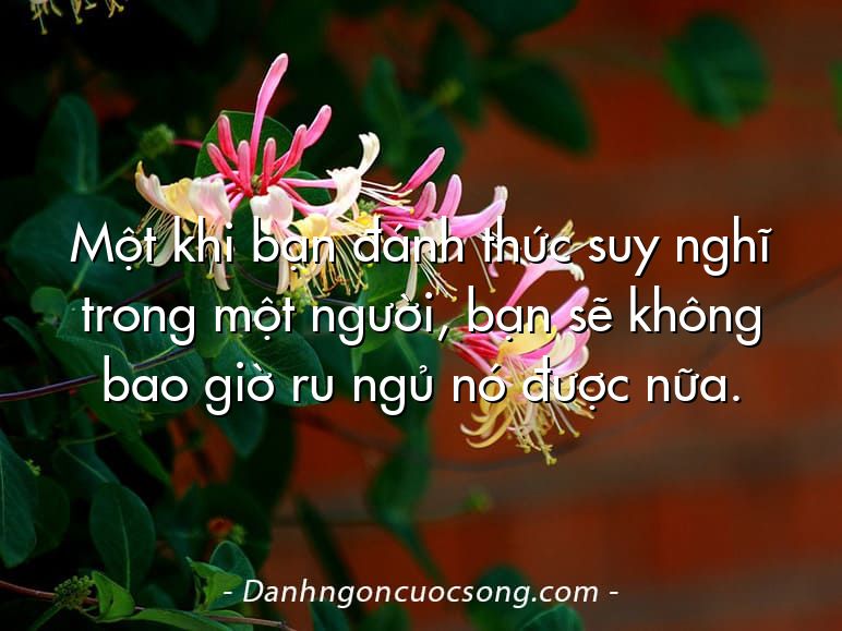 Một khi bạn đánh thức suy nghĩ trong một người, bạn sẽ không bao giờ ru ngủ nó được nữa.