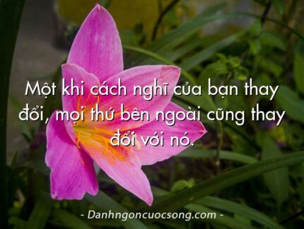 Một khi cách nghĩ của bạn thay đổi, mọi thứ bên ngoài cũng thay đổi với nó.