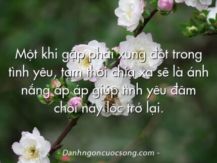 Một khi gặp phải xung đột trong tình yêu, tạm thời chia xa sẽ là ánh nắng ấp áp giúp tình yêu đâm chồi nảy lộc trở lại.  