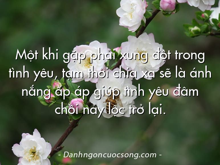 Một khi gặp phải xung đột trong tình yêu, tạm thời chia xa sẽ là ánh nắng ấp áp giúp tình yêu đâm chồi nảy lộc trở lại.  