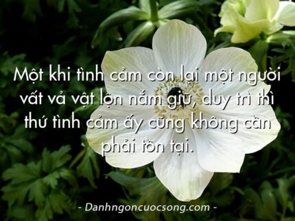 Một khi tình cảm còn lại một người vất vả vật lộn nắm giữ, duy trì thì thứ tình cảm ấy cũng không cần phải tồn tại.