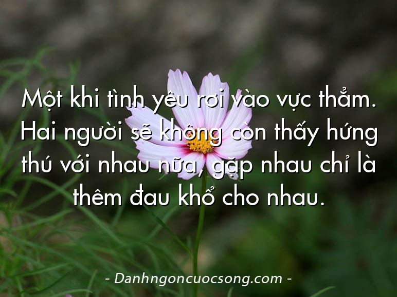 Một khi tình yêu rơi vào vực thẳm. Hai người sẽ không còn thấy hứng thú với nhau nữa, gặp nhau chỉ là thêm đau khổ cho nhau.