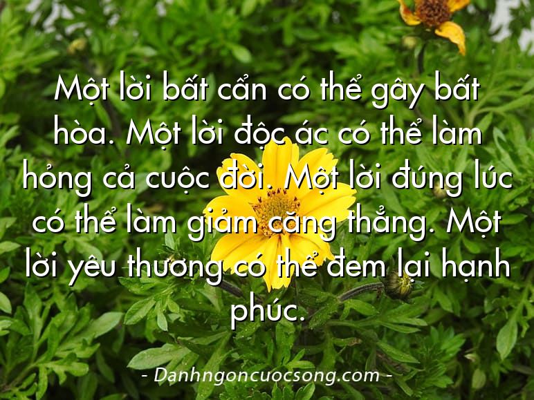Một lời bất cẩn có thể gây bất hòa. Một lời độc ác có thể làm hỏng cả cuộc đời. Một lời đúng lúc có thể làm giảm căng thẳng. Một lời yêu thương có thể đem lại hạnh phúc.