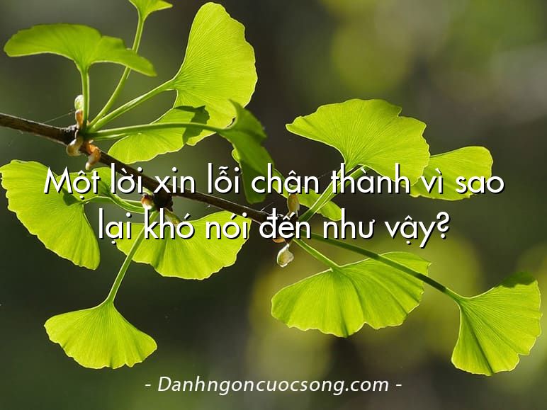 Một lời xin lỗi chân thành vì sao lại khó nói đến như vậy?