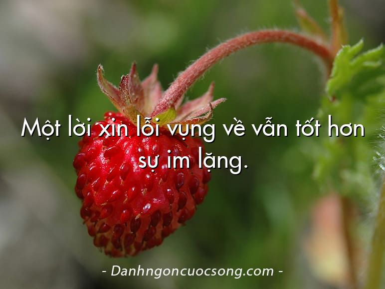 Một lời xin lỗi vụng về vẫn tốt hơn sự im lặng.