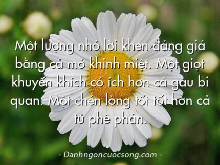 Một lượng nhỏ lời khen đáng giá bằng cả mớ khinh miệt. Một giọt khuyến khích có ích hơn cả gàu bi quan. Một chén lòng tốt tốt hơn cả tủ phê phán.