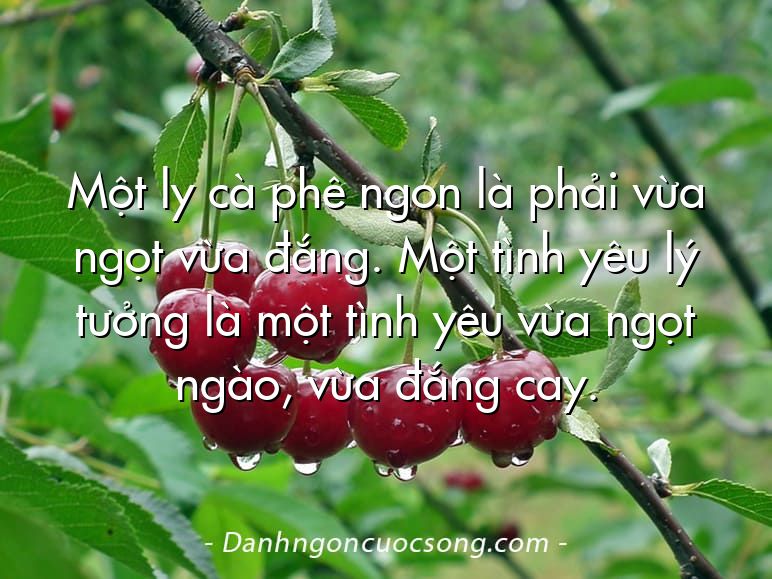 Một ly cà phê ngon là phải vừa ngọt vừa đắng. Một tình yêu lý tưởng là một tình yêu vừa ngọt ngào, vừa đắng cay.