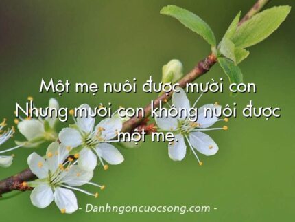 Một mẹ nuôi được mười con Nhưng mười con không nuôi được một mẹ.
