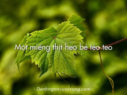Một miếng thịt heo bé tẻo teo