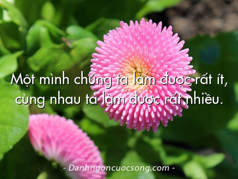 Một mình chúng ta làm được rất ít, cùng nhau ta làm được rất nhiều.