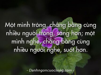 Một mình trông, chẳng bằng cùng nhiều người trông, sáng hơn; một mình nghe, chẳng bằng cùng nhiều người nghe, suốt hơn.