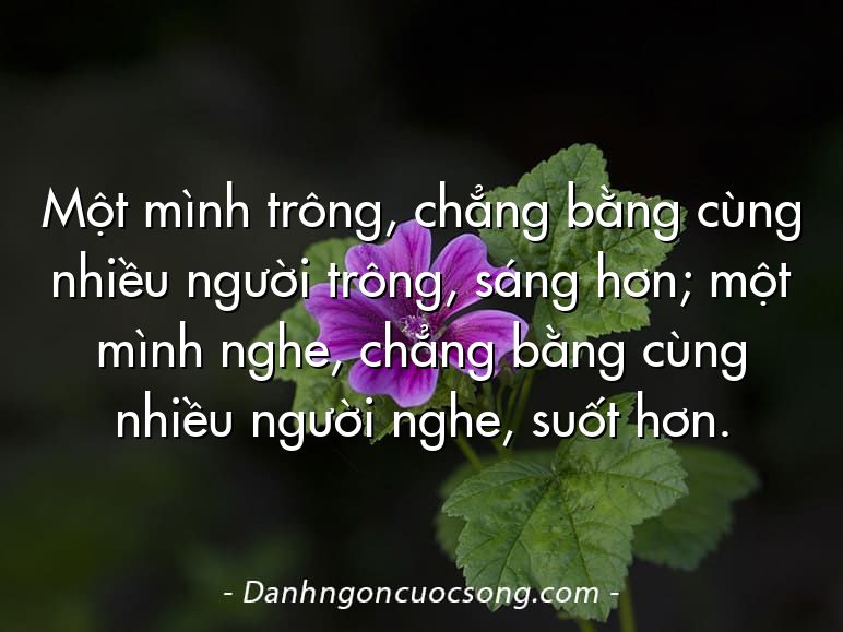 Một mình trông, chẳng bằng cùng nhiều người trông, sáng hơn; một mình nghe, chẳng bằng cùng nhiều người nghe, suốt hơn.