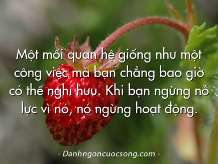 Một mối quan hệ giống như một công việc mà bạn chẳng bao giờ có thể nghỉ hưu. Khi bạn ngừng nỗ lực vì nó, nó ngừng hoạt động.