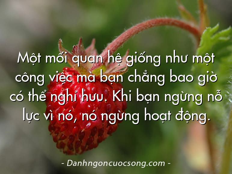 Một mối quan hệ giống như một công việc mà bạn chẳng bao giờ có thể nghỉ hưu. Khi bạn ngừng nỗ lực vì nó, nó ngừng hoạt động.