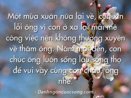 Một mùa xuân nữa lại về, con xin lỗi ông vì con ở xa lại mải mê công việc nên không thường xuyên về thăm ông. Năm mới đến, con chúc ông luôn sống lâu sống thọ để vui vầy cùng con cháu, ông nhé.
