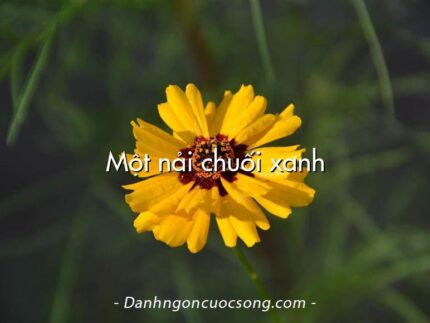 Một nải chuối xanh