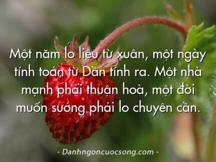 Một năm lo liệu từ xuân, một ngày tính toán từ Dần tính ra. Một nhà mạnh phải thuận hoà, một đời muốn sướng phải lo chuyên cần.