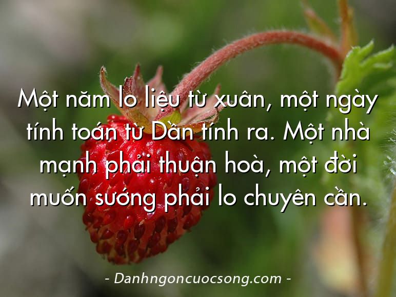 Một năm lo liệu từ xuân, một ngày tính toán từ Dần tính ra. Một nhà mạnh phải thuận hoà, một đời muốn sướng phải lo chuyên cần.