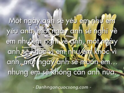 Một ngày anh sẽ yêu em như em yêu anh, một ngày anh sẽ nghĩ về em như em nghĩ về anh, một ngày anh sẽ khóc vì em như em khóc vì anh, một ngày anh sẽ muốn em… nhưng em sẽ không cần anh nữa.