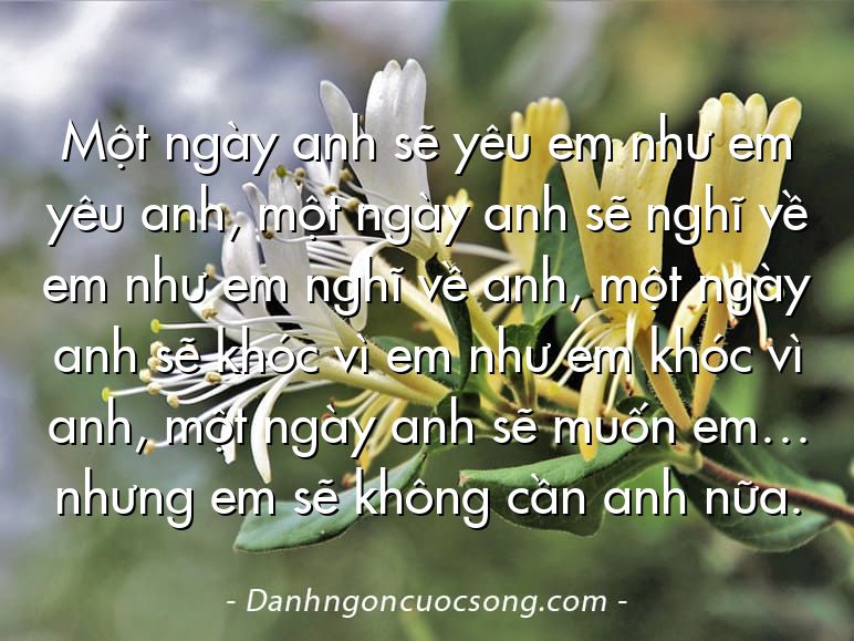 Một ngày anh sẽ yêu em như em yêu anh, một ngày anh sẽ nghĩ về em như em nghĩ về anh, một ngày anh sẽ khóc vì em như em khóc vì anh, một ngày anh sẽ muốn em… nhưng em sẽ không cần anh nữa.