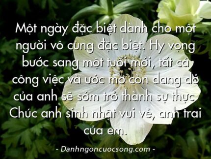 Một ngày đặc biệt dành cho một người vô cùng đặc biệt. Hy vọng bước sang một tuổi mới, tất cả công việc và ước mơ còn dang dở của anh sẽ sớm trở thành sự thực. Chúc anh sinh nhật vui vẻ, anh trai của em.