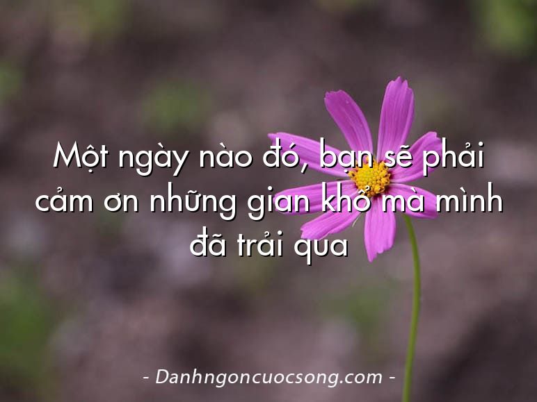 Một ngày nào đó, bạn sẽ phải cảm ơn những gian khổ mà mình đã trải qua