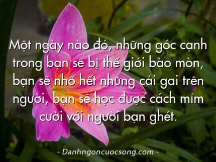 Một ngày nào đó, những góc cạnh trong bạn sẽ bị thế giới bào mòn, bạn sẽ nhổ hết những cái gai trên người, bạn sẽ học được cách mỉm cười với người bạn ghét.