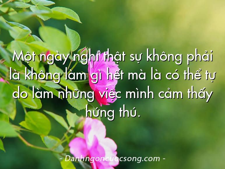 Một ngày nghỉ thật sự không phải là không làm gì hết mà là có thể tự do làm những việc mình cảm thấy hứng thú.