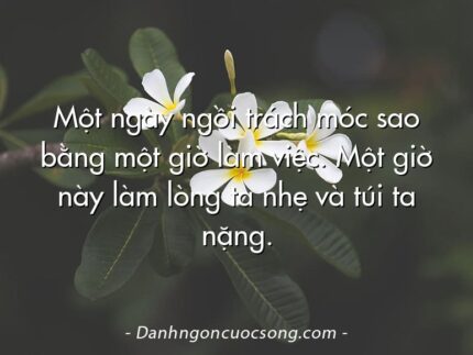 Một ngày ngồi trách móc sao bằng một giờ làm việc. Một giờ này làm lòng ta nhẹ và túi ta nặng.