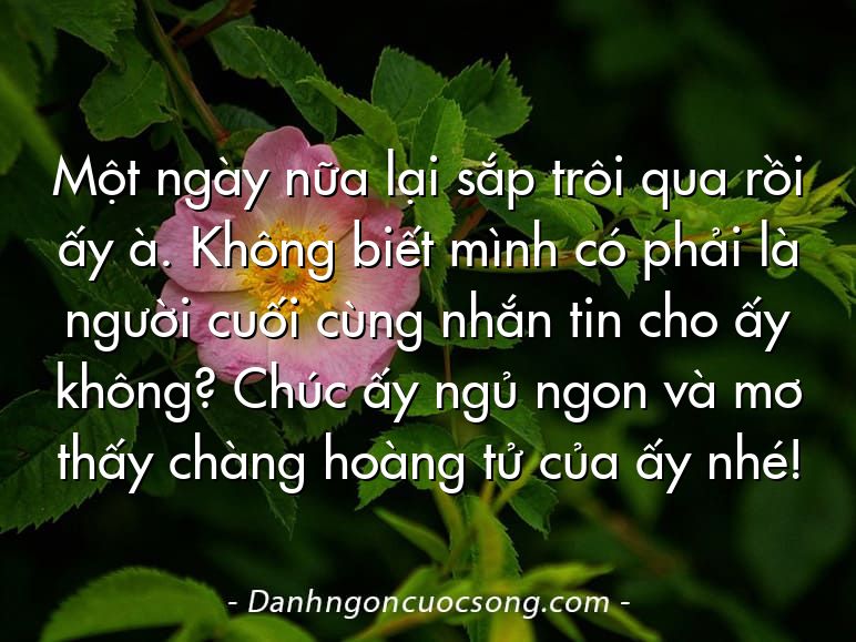 Một ngày nữa lại sắp trôi qua rồi ấy à. Không biết mình có phải là người cuối cùng nhắn tin cho ấy không? Chúc ấy ngủ ngon và mơ thấy chàng hoàng tử của ấy nhé!