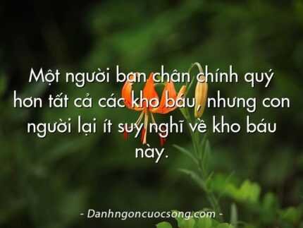 Một người bạn chân chính quý hơn tất cả các kho báu, nhưng con người lại ít suy nghĩ về kho báu này.