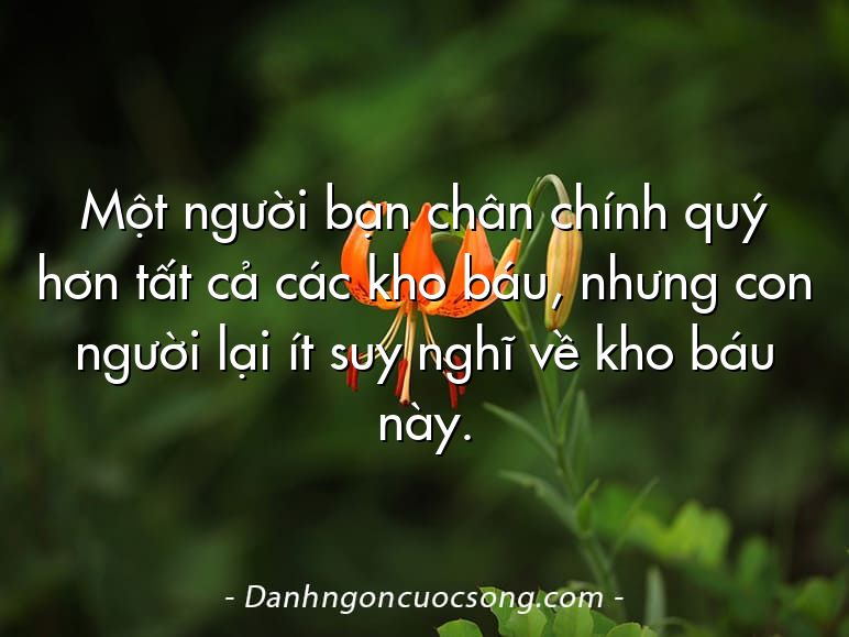 Một người bạn chân chính quý hơn tất cả các kho báu, nhưng con người lại ít suy nghĩ về kho báu này.