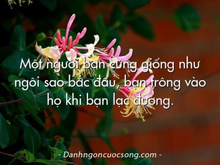 Một người bạn cũng giống như ngôi sao bắc đẩu, bạn trông vào họ khi bạn lạc đường.
