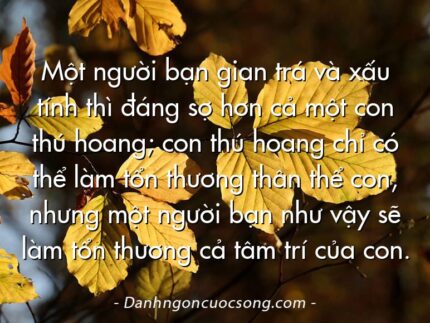 Một người bạn gian trá và xấu tính thì đáng sợ hơn cả một con thú hoang; con thú hoang chỉ có thể làm tổn thương thân thể con, nhưng một người bạn như vậy sẽ làm tổn thương cả tâm trí của con.