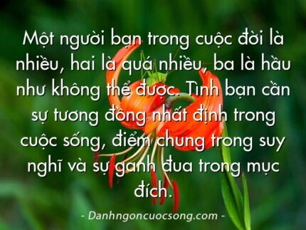 Một người bạn trong cuộc đời là nhiều, hai là quá nhiều, ba là hầu như không thể được. Tình bạn cần sự tương đồng nhất định trong cuộc sống, điểm chung trong suy nghĩ và sự ganh đua trong mục đích.