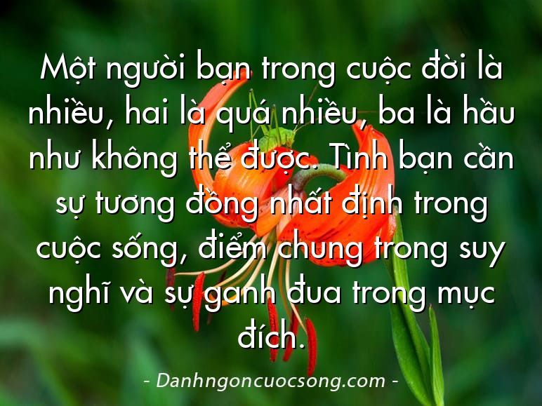 Một người bạn trong cuộc đời là nhiều, hai là quá nhiều, ba là hầu như không thể được. Tình bạn cần sự tương đồng nhất định trong cuộc sống, điểm chung trong suy nghĩ và sự ganh đua trong mục đích.