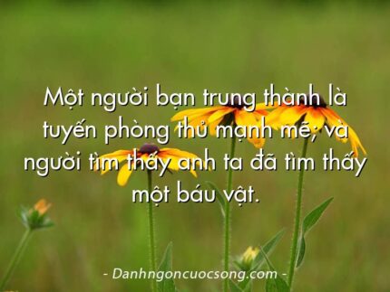 Một người bạn trung thành là tuyến phòng thủ mạnh mẽ; và người tìm thấy anh ta đã tìm thấy một báu vật.