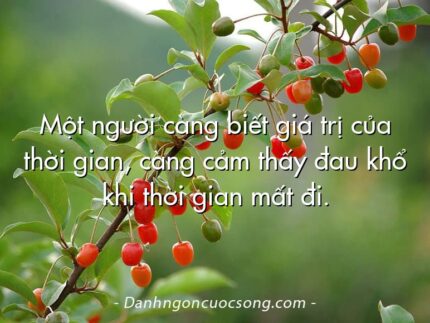 Một người càng biết giá trị của thời gian, càng cảm thấy đau khổ khi thời gian mất đi.
