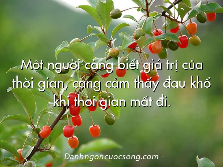 Một người càng biết giá trị của thời gian, càng cảm thấy đau khổ khi thời gian mất đi.