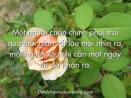 Một người chân chính phải trải qua thời gian rất lâu mới nhìn ra, một người xấu chỉ cần một ngày thì đã nhận ra.
